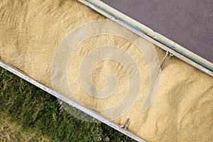 Aerial view of lorry cargo truck driving on dirt road between agricultural wheat fields. Transportation of grain after