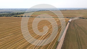 Aerial view of lorry cargo truck driving on dirt road between agricultural wheat fields. Transportation of grain after