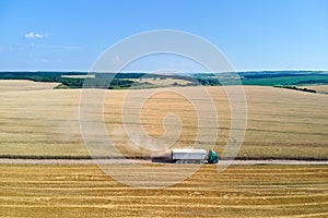 Aerial view of lorry cargo truck driving on dirt road between agricultural wheat fields. Transportation of grain after