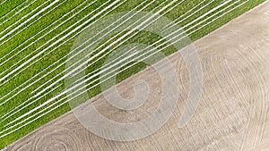 Aerial view of a lush green farm with fertile soil