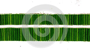 Aerial View of Lush Green Rectangular Fields: A Serene Geometric Landscape photo