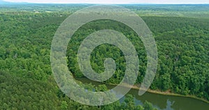 Aerial view of lush green trees forest on from above mountains in Campobello, South Carolina