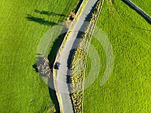 Aerial view of lush pastures and farmlands of England. Beautiful English countryside with emerald green fields and meadows