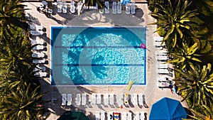 Aerial view of a luxurious swimming pool in a tropical region surrounded by lush palm trees