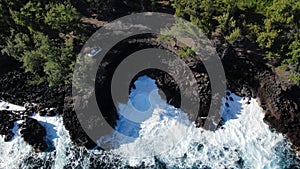 aerial view of MacKenzie State Recreation Area in big island, hawaii