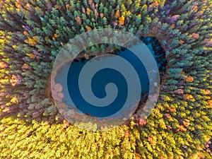 aerial view of majestic trees and beautiful mountain lake, Blue