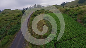 Aerial view male enduro motorcyclist contemplate mountain hilly valley landscape observation tower