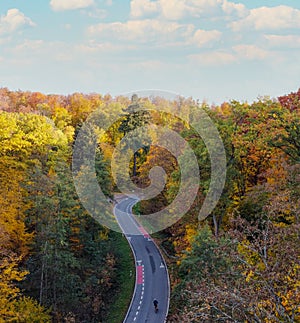 Aerial view of a man cycling on the highway through the golden woodland at fall