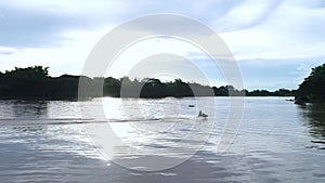 Aerial view man driving a jet-ski at river. Jet ski on the water