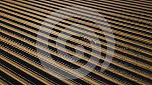 Aerial view of a man working the field with his horse