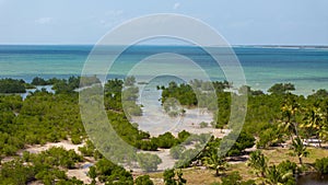 Aerial view of Mangroove in Palma District in Cabo Delgado, Mozambique photo