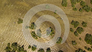 Aerial view of Mangroove in Palma District in Cabo Delgado, Mozambique photo