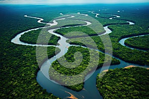 Aerial view of mangrove forest with river. Nature background, AI Generated