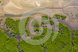 Aerial view of mangrove forest in the  Saloum Delta National Park, Joal Fadiout, Senegal. Photo made by drone from above. Africa photo