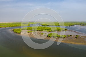 Aerial view of mangrove forest in the  Saloum Delta National Park, Joal Fadiout, Senegal. Photo made by drone from above. Africa photo