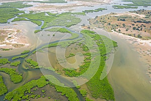 Aerial view of mangrove forest in the  Saloum Delta National Park, Joal Fadiout, Senegal. Photo made by drone from above. Africa photo