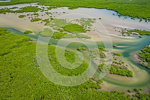 Aerial view of mangrove forest in the  Saloum Delta National Park, Joal Fadiout, Senegal. Photo made by drone from above. Africa photo