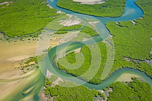Aerial view of mangrove forest in the  Saloum Delta National Park, Joal Fadiout, Senegal. Photo made by drone from above. Africa