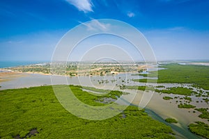 Aerial view of mangrove forest in the  Saloum Delta National Park, Joal Fadiout, Senegal. Photo made by drone from above. Africa photo