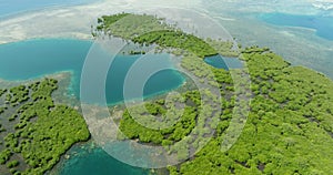 Aerial view of mangroves in Mindanao.