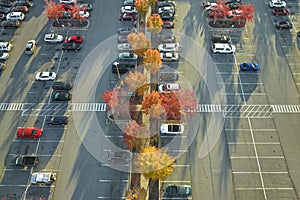 Aerial view of many colorful cars parked on parking lot with lines and markings for parking places and directions. Place