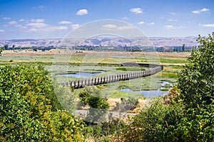 Aerial view of the marshes in Don Edwards wildlife refuge