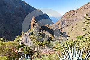 Aerial view of Masca village in Teno mountans on Tenerife