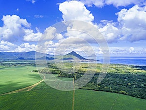 Aerial view of Mauritius sugar cane field with mountains