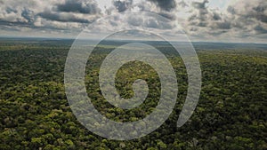 Aerial View: The Maya Biosphere Reserve