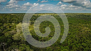 Aerial View: The Maya Biosphere Reserve photo