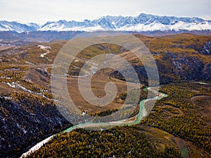 Aerial view of the meandering katun river in altai, russia with autumn foliage