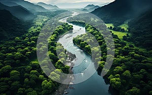 Aerial View of a Meandering River Flowing Through a Dense Green Rainforest with Misty Atmosphere and Lush Foliage