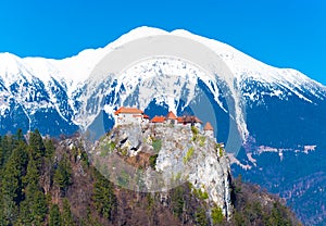 Aerial view of the medieval castle built on the rock, Slovenia