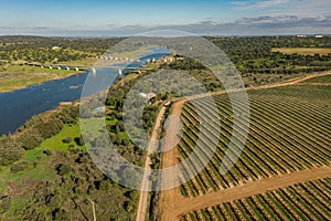 Aerial view of the mediterranean agriculture landscape in Olivenza Spain photo
