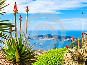 Aerial view of the Mediterranean coastline from the top of the Eze village. Provence, France