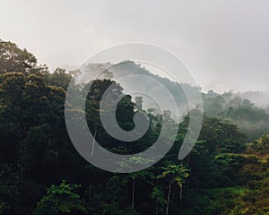 Aerial view of mist, blanket cloud and fog hanging over a lush tropical rainforest in the morning