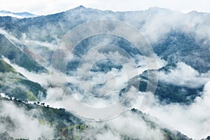 Aerial view of mist, cloud and fog hanging over a lush tropical rainforest after a storm