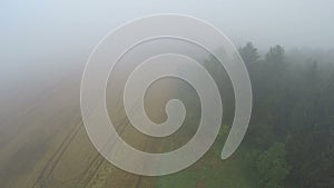 Aerial view, misty foggy morning farmland fields in summer