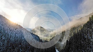 Aerial view of misty winter forest and scenic sunset in Low Tatras mountains of Slovakia