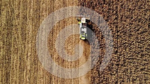 Aerial view modern combine harvesting wheat on the yellow wheat field. directly above view. Agriculture scene.