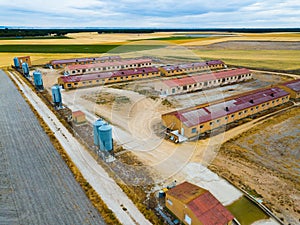 Aerial view of modern pig farm