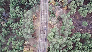 Aerial view of modern tram riding near forest in countryside. Bird's eye view of contemporary tram riding on rails in