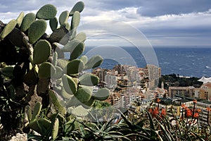 Aerial view of Monaco from the heights of the exotic garden