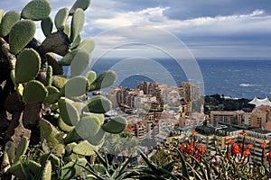 Aerial view of Monaco from the heights of the exotic garden