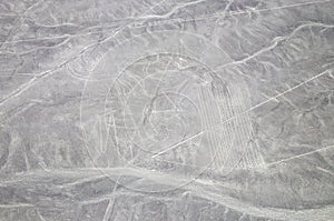 Aerial View of the Monkey Nazca Lines