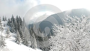 Aerial View Of Mountain Kopaonik Winter Landscape