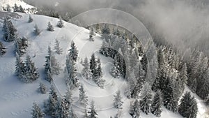 Aerial View Of Mountain Kopaonik Winter Landscape