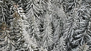 Aerial View Of Mountain Kopaonik Winter Landscape