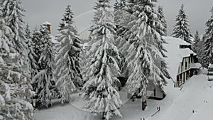 Aerial View Of Mountain Kopaonik Winter Landscape