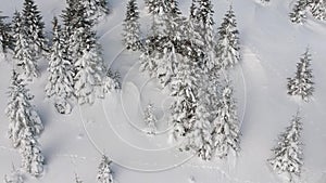 Aerial view of mountain Kopaonik winter landscape